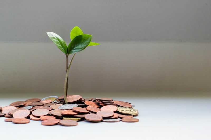 Best High-Yield Savings Accounts: Where to Park Your Emergency Fund